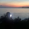 malek_elk